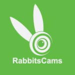 RabbitsCams