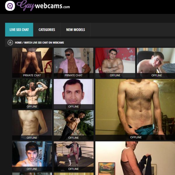 gaywebcams